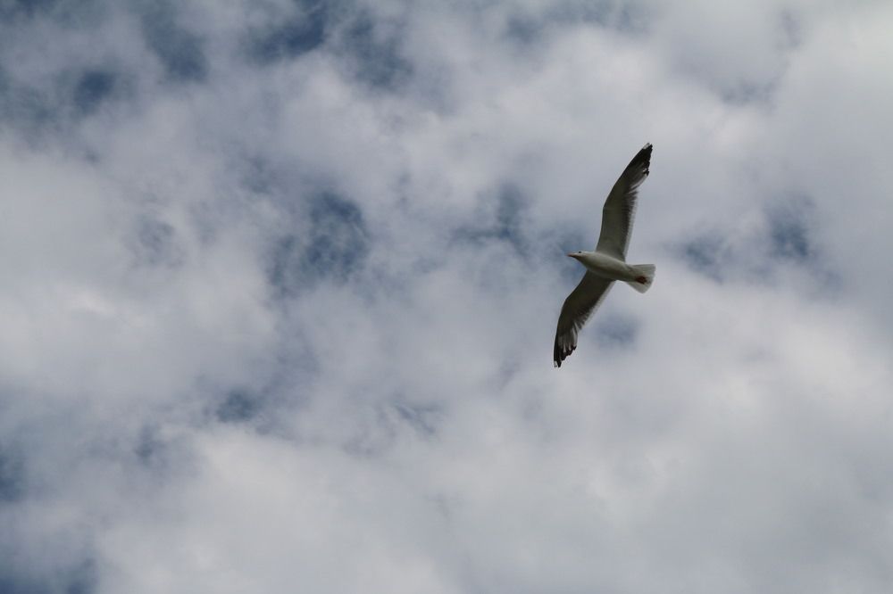 Photograph by Софья