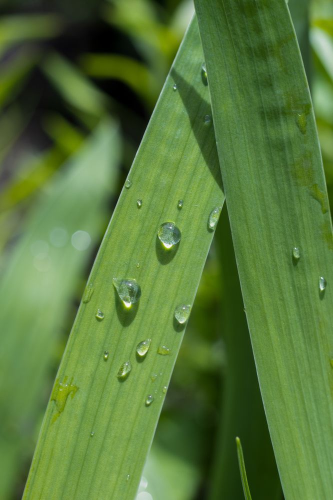 Photograph by Наталья Мотрий