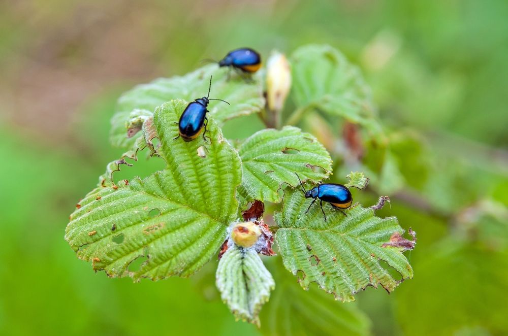 Photograph by Валерий Клейменов