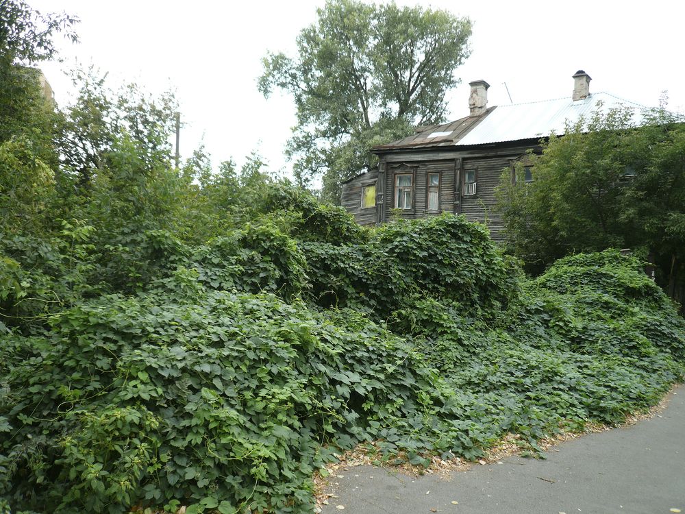 Фотография автора Клавдия Васильева