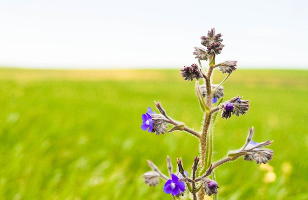 Photograph by samir rouabah