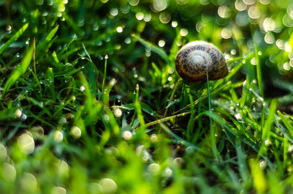 Photograph by Antonio Flores Garcia