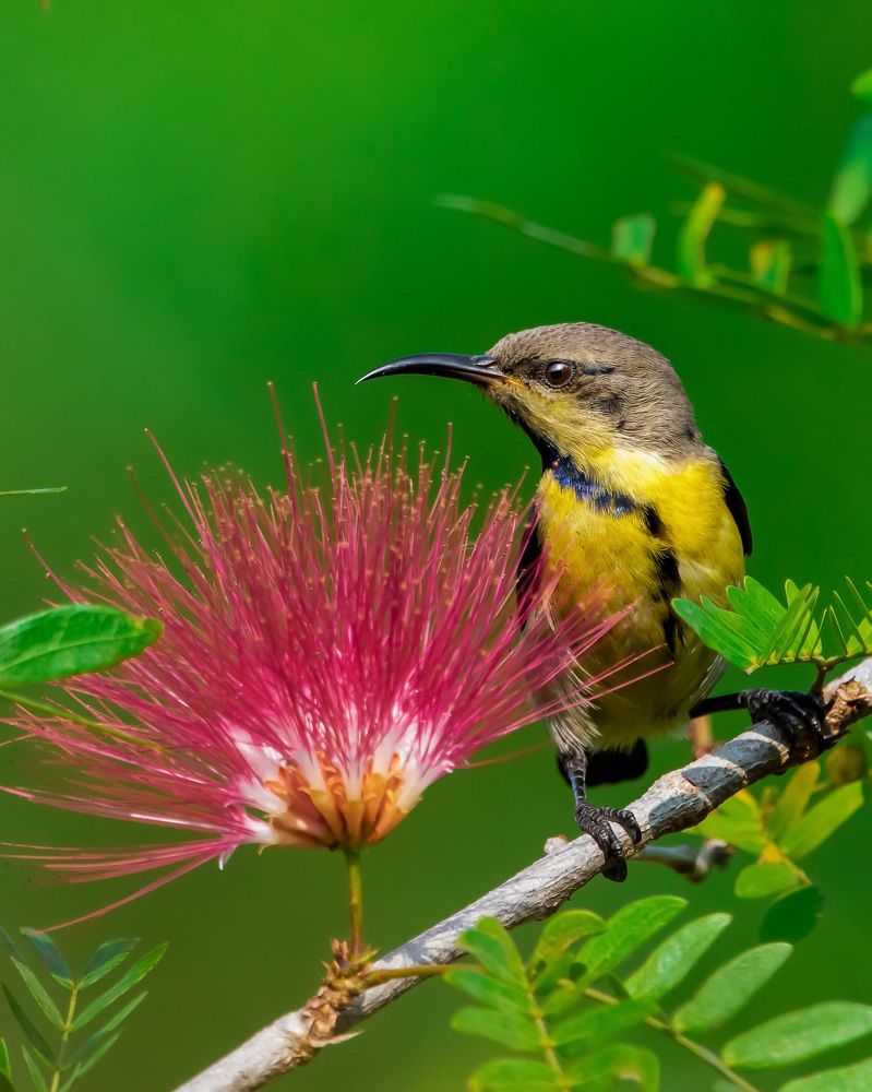 Фотография автора Sunny Vaghadia