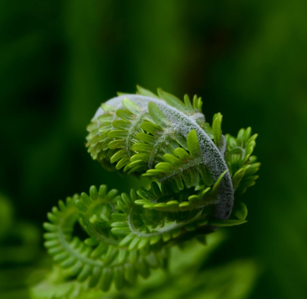 Photograph by Анастасия Чушкова