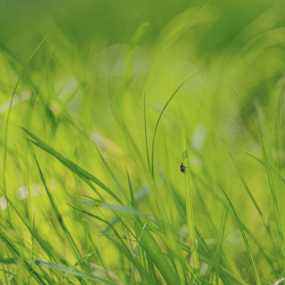 Photograph by Анастасия Чушкова