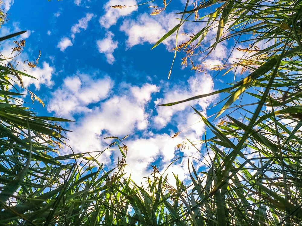 Photograph by mikhail goryachev