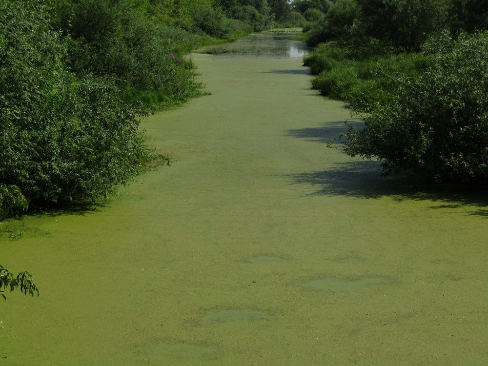 Photograph by Нурлан Кушкунов