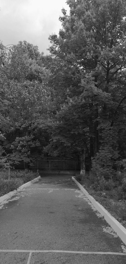 Photograph by Мила Мит