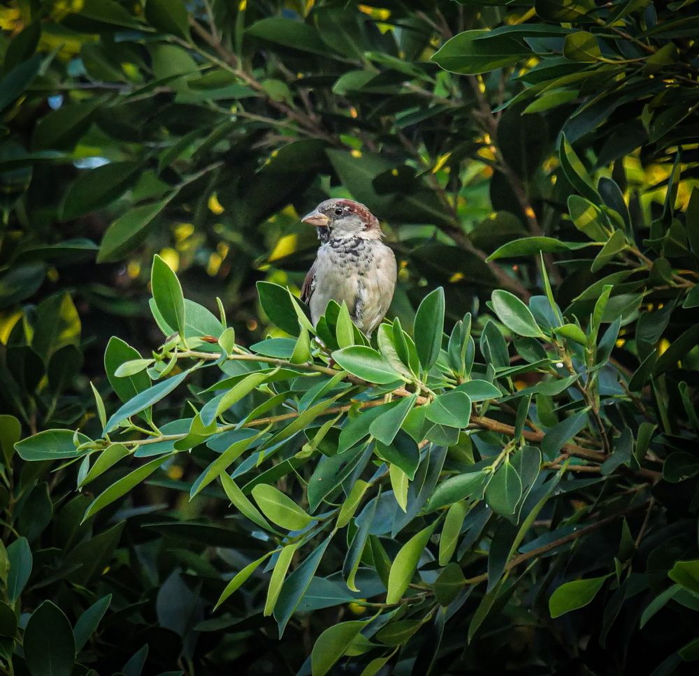 Photograph by Николай Тышкунов