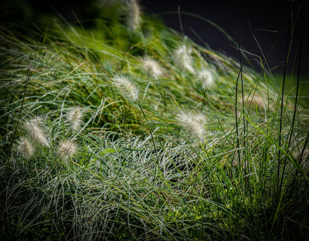 Photograph by Николай Тышкунов