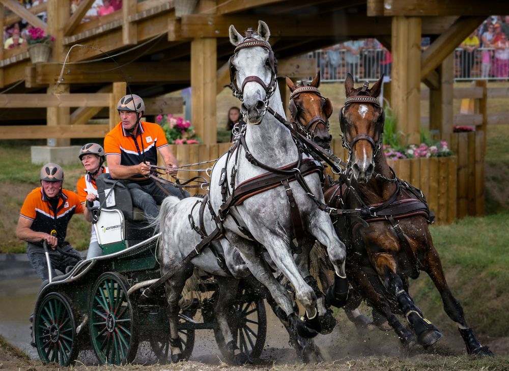 Photograph by Yulia Stepanova