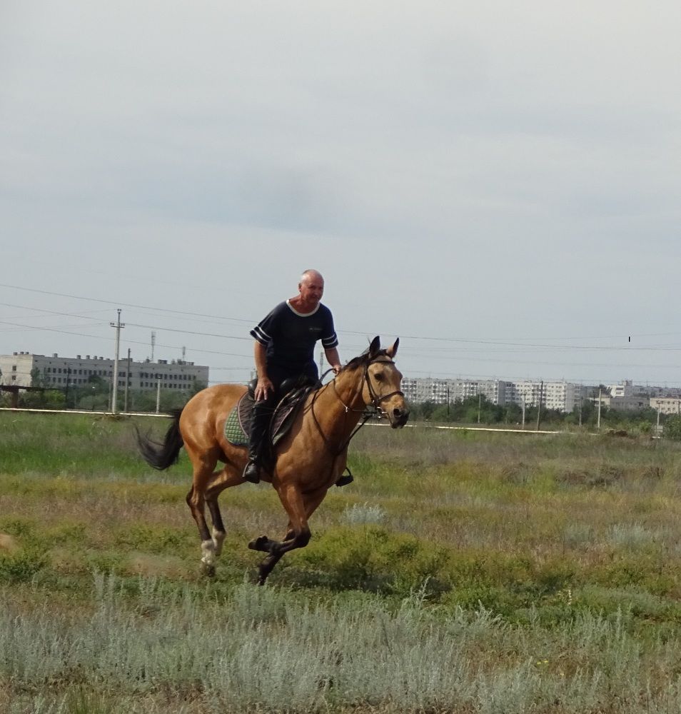 Photograph by Елена