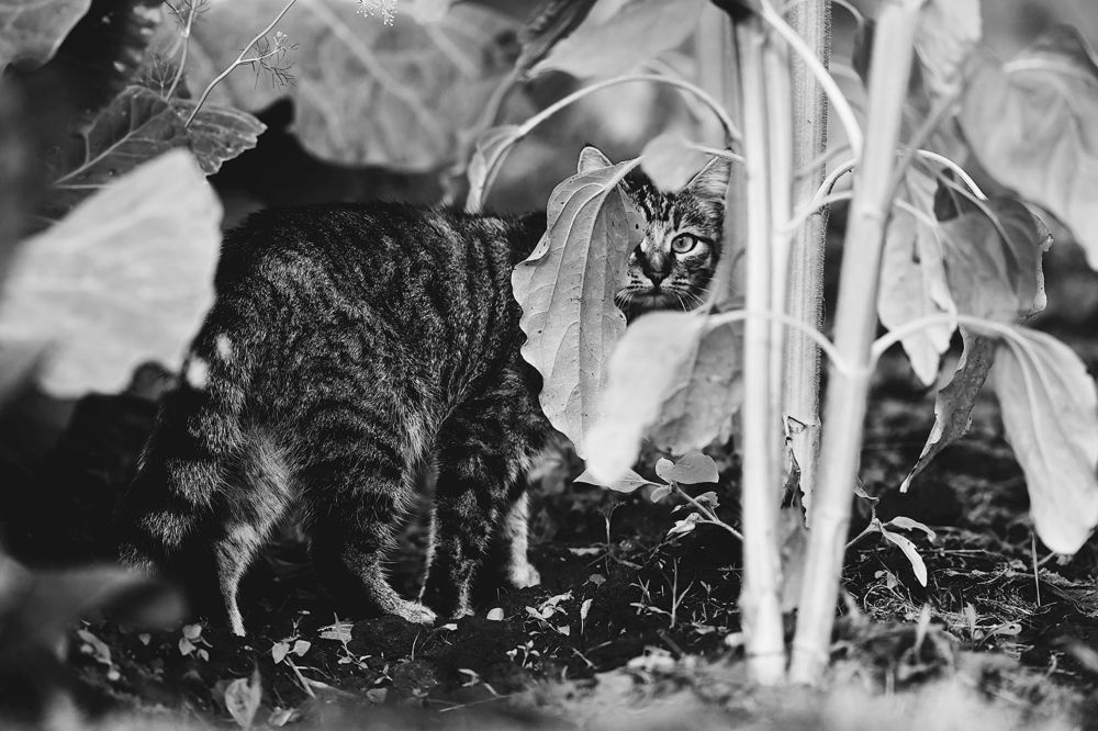 Photograph by Елена