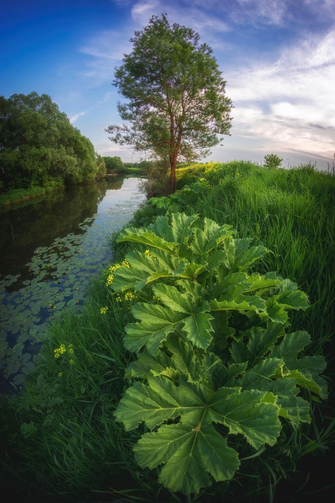 Фотография автора Котов Андрей