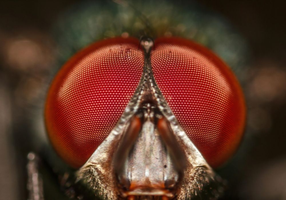 Фотография автора Котов Андрей