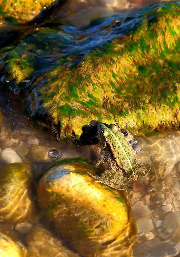 Photograph by Юрий Варюхин