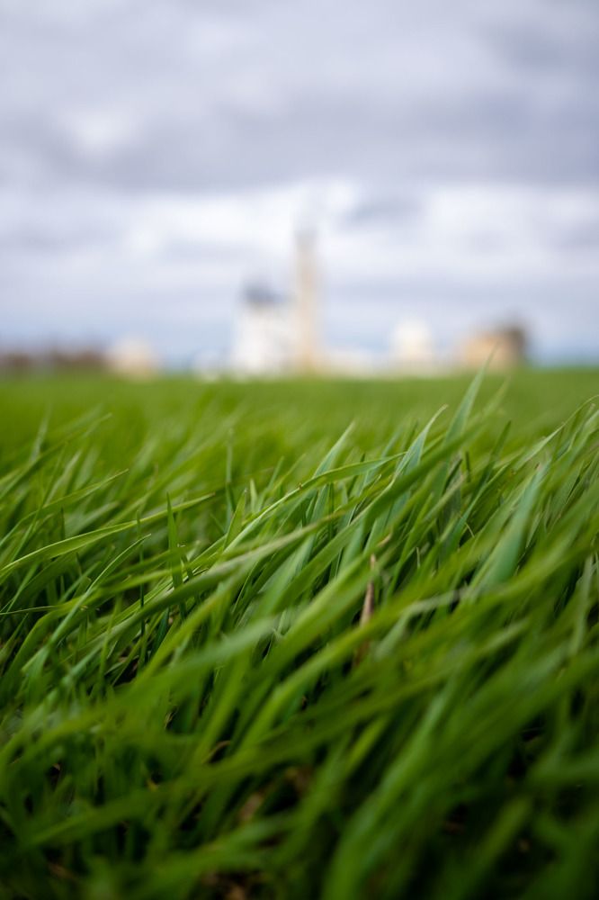 Фотография автора Владимир Романов