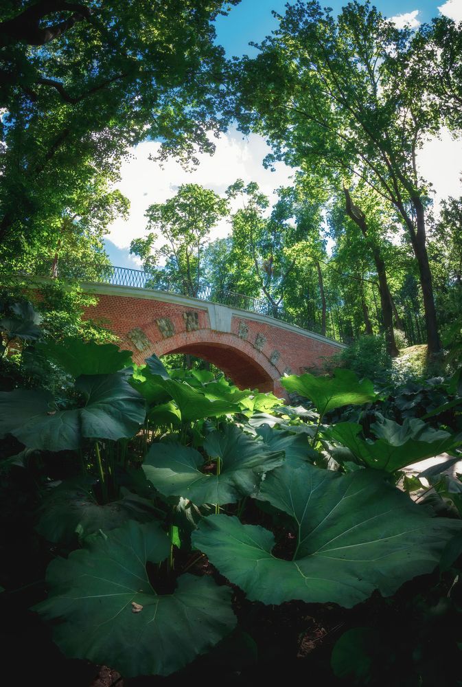 Фотография автора Котов Андрей