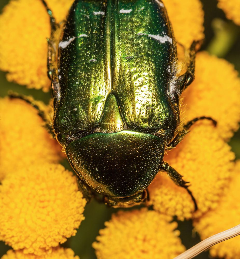 Фотография автора Котов Андрей