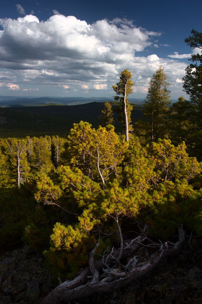 Photograph by Сергей Андреев