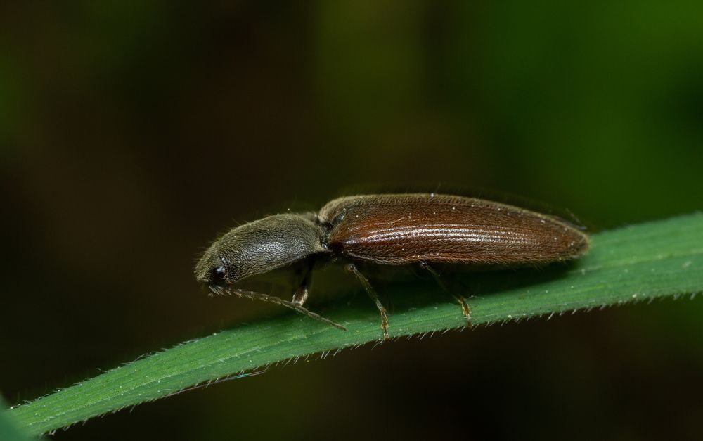 Фотография автора Котов Андрей