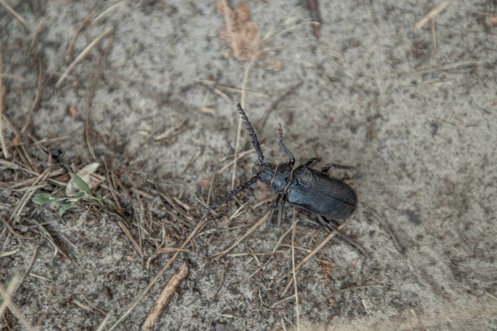 Photograph by Марина Стротова