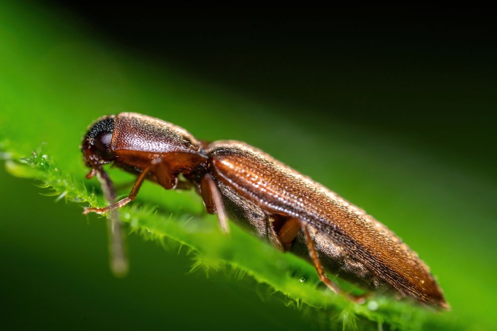 Фотография автора Котов Андрей