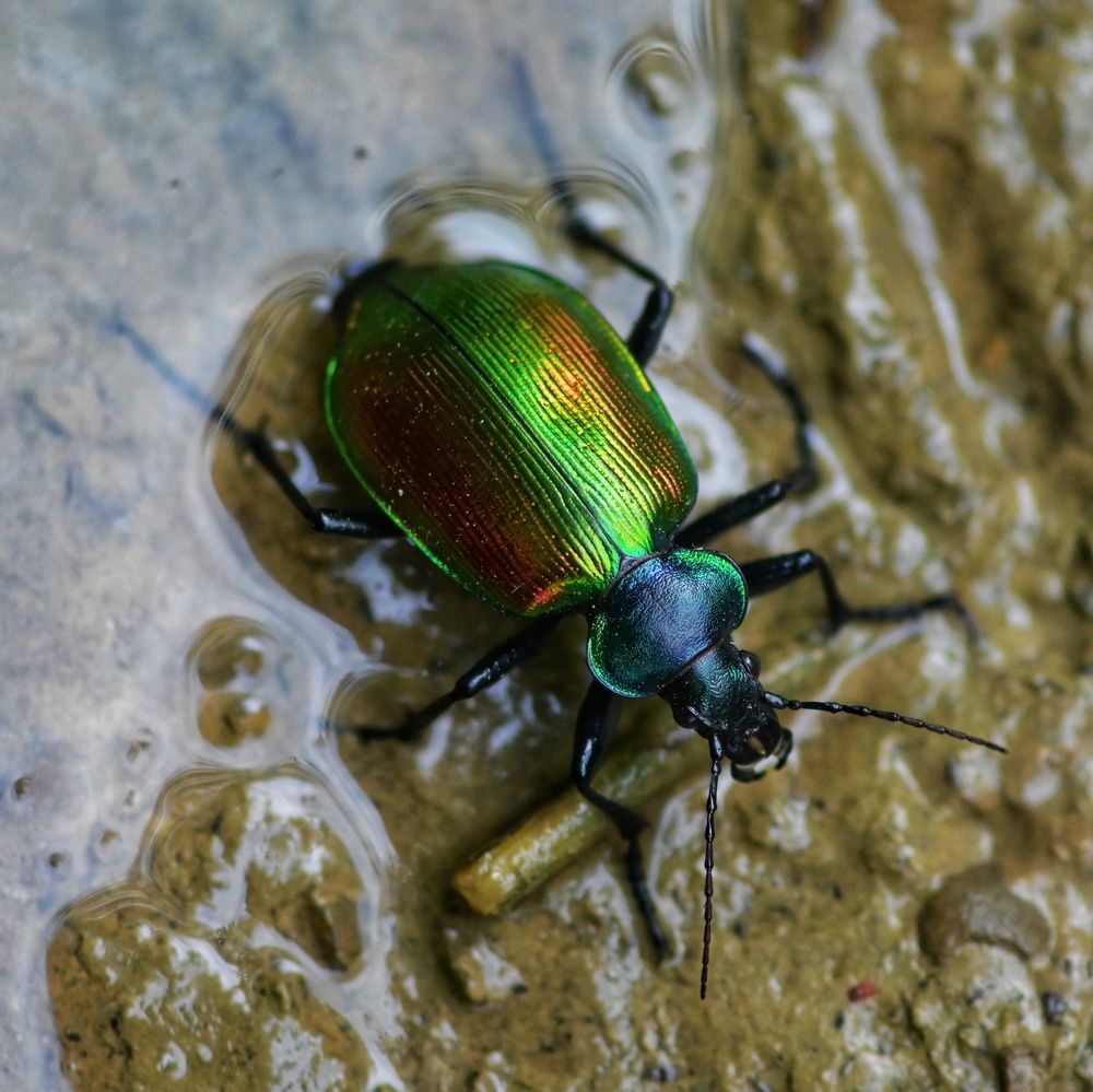 Photograph by Дмитрий Батагов