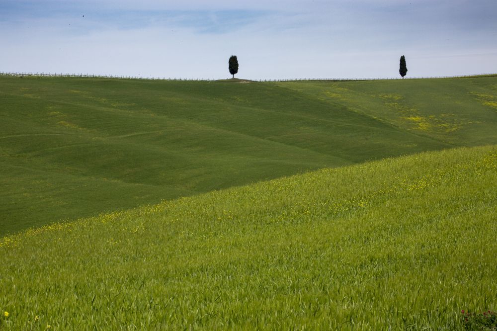 Photograph by Геннадий