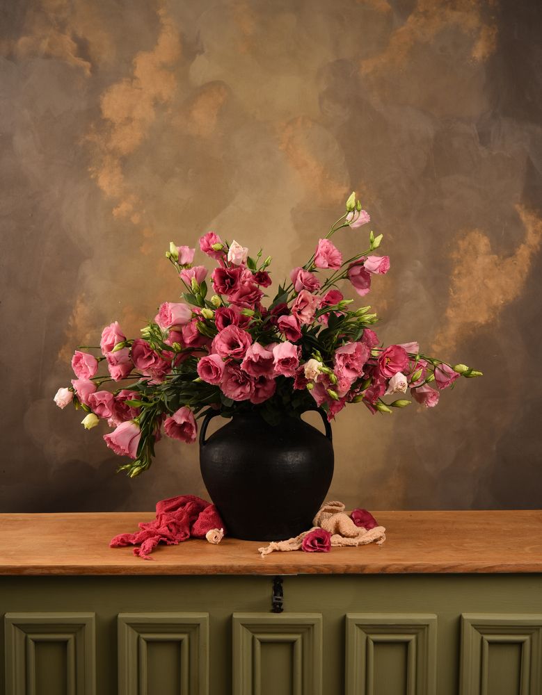 Photograph by Laura Oporanu