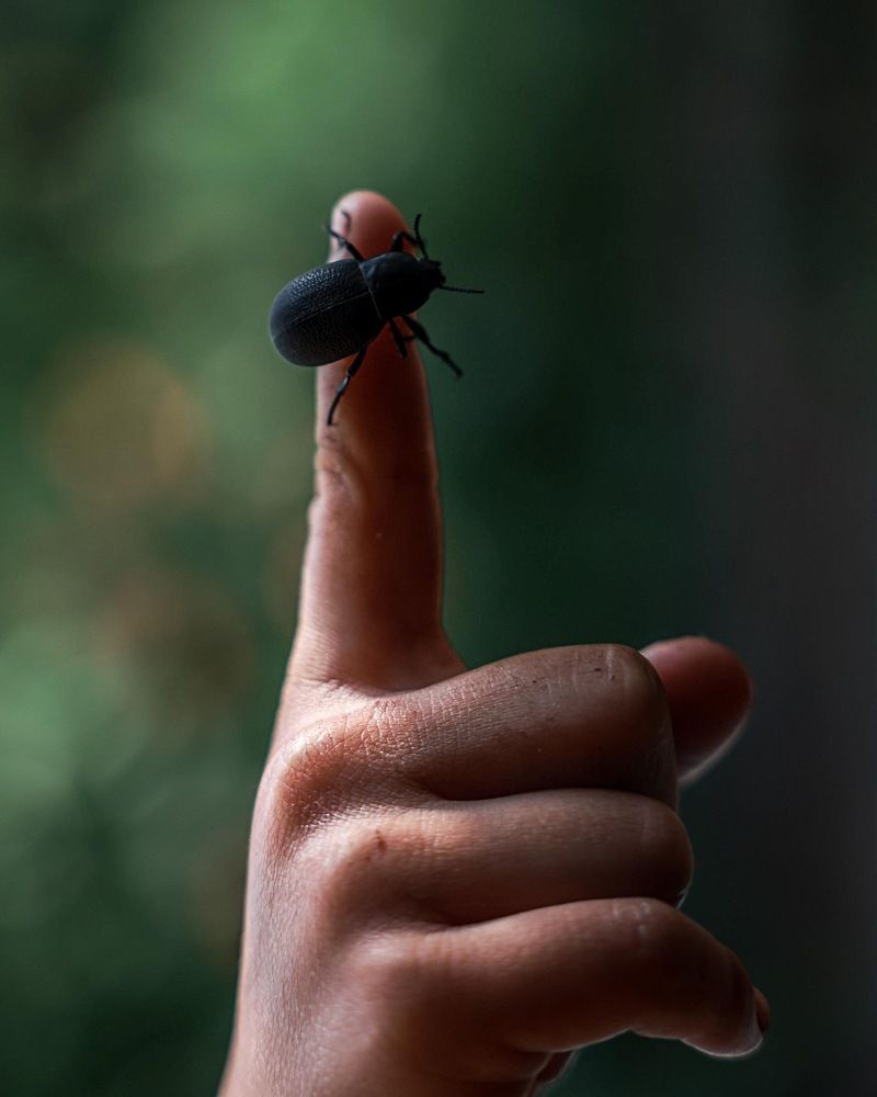 Photograph by Елена Цырюк