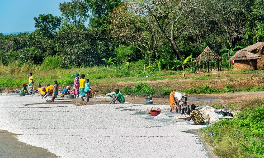 Photograph by  Md Shaheedul Alam