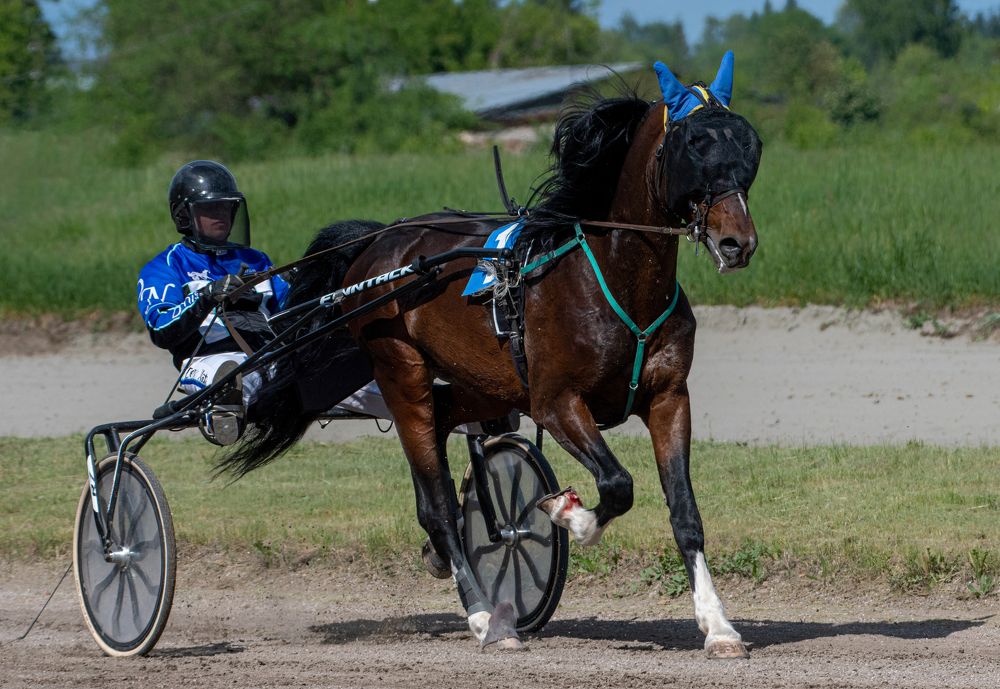 Photograph by Александр Перегудов