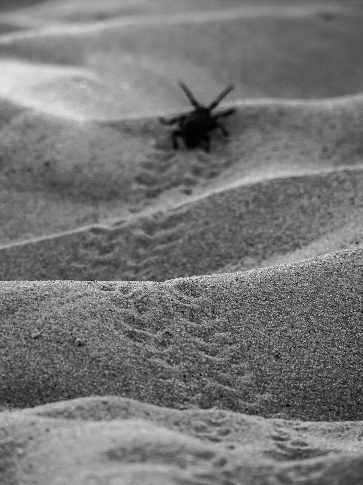 Photograph by Виктор Рыков