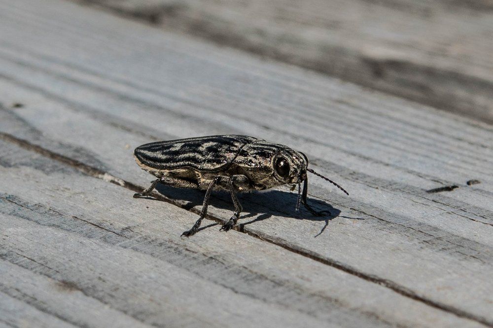 Photograph by Виктор Рыков