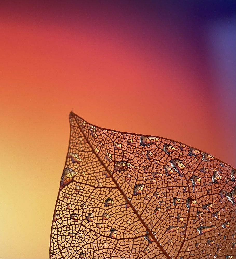 Photograph by Анастасия Чушкова