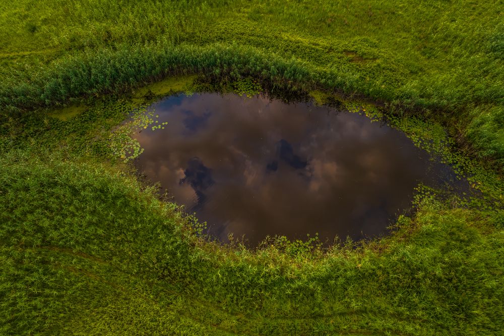 Photograph by Дмитрий Власов