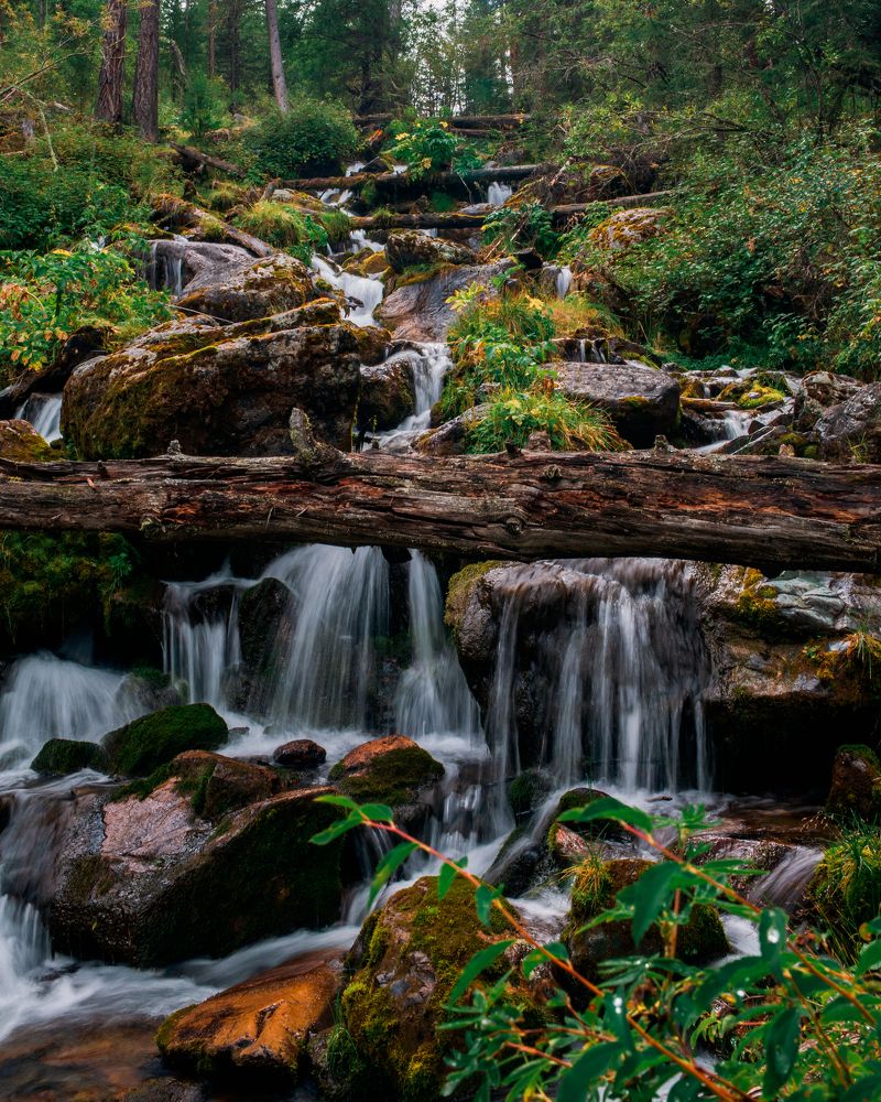 Photograph by Андрей Худзиев