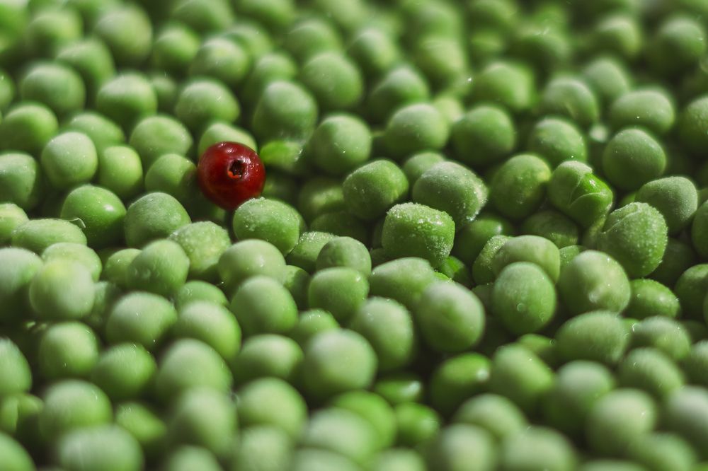 Photograph by Ольга Рачилова