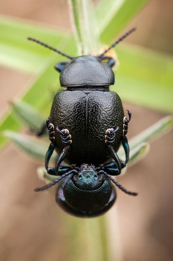 Photograph by Анна Татаренко