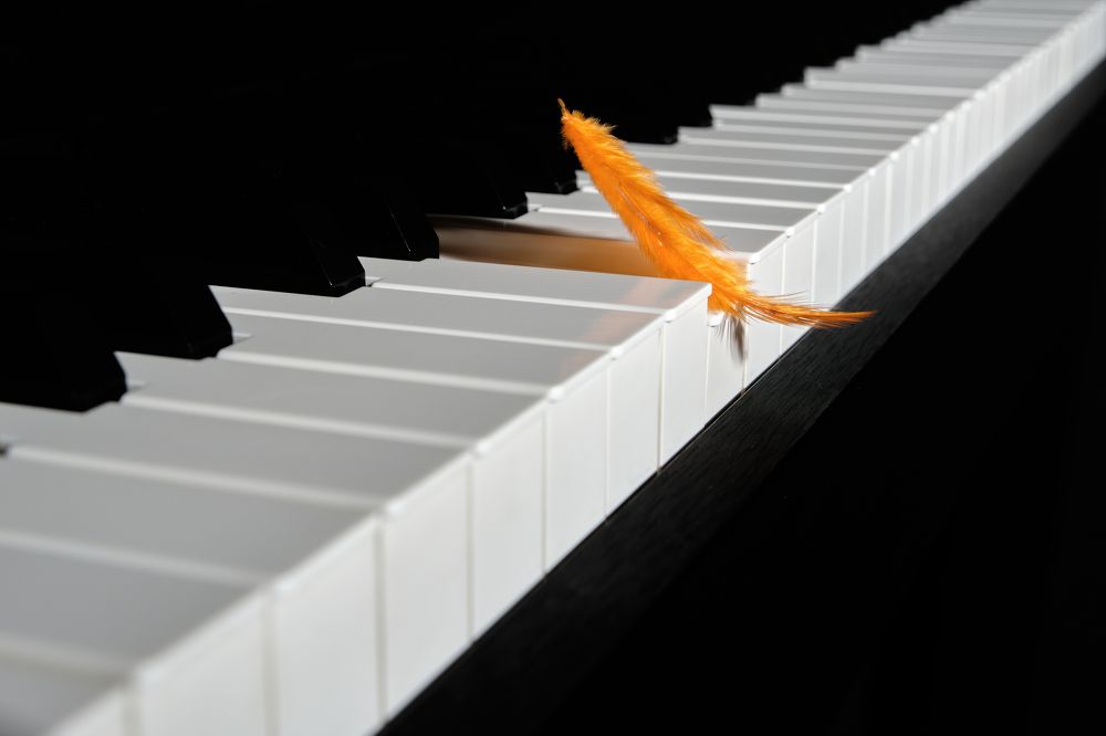 Photograph by Николай Игумнов