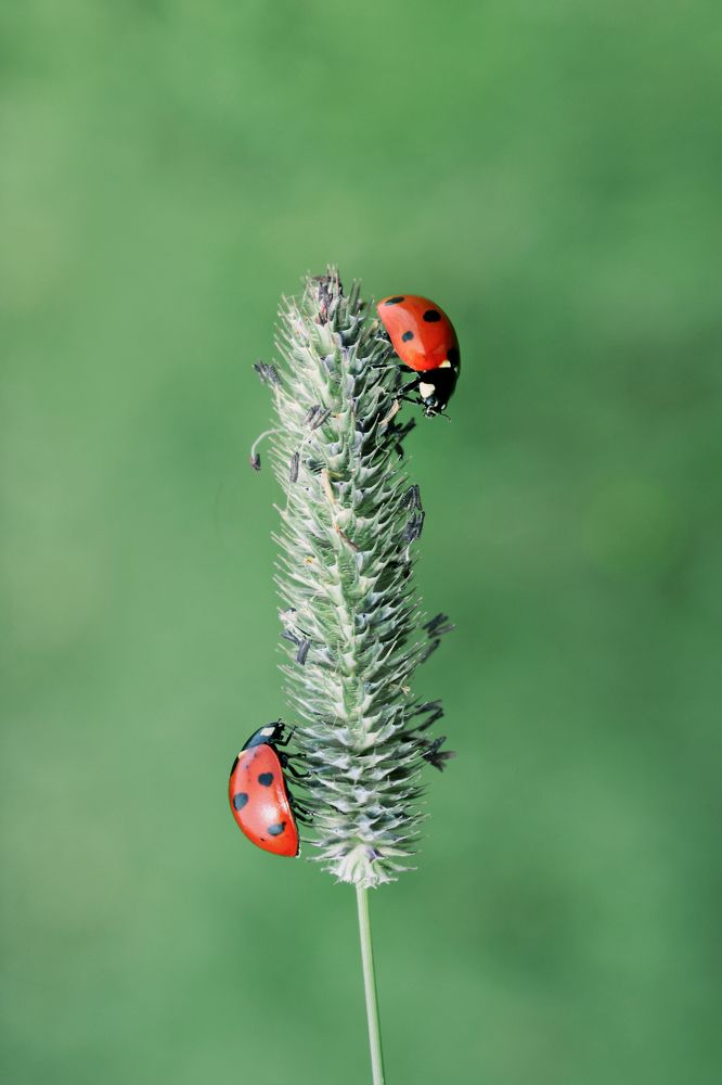 Photograph by Aušrinė Bui