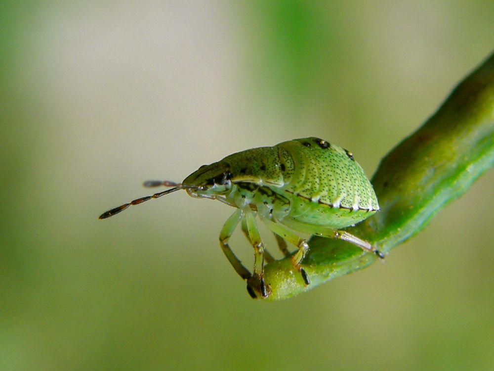 Photograph by Константин Мишнаевский