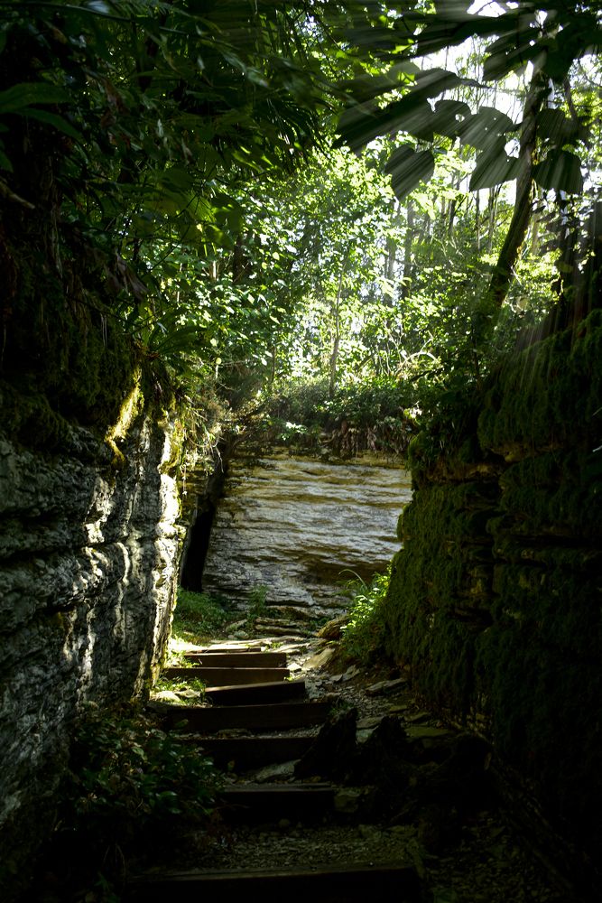 В глубь веков