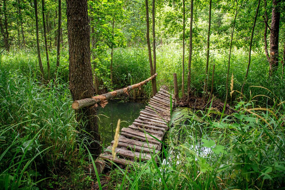 Photograph by Владимир Карпов