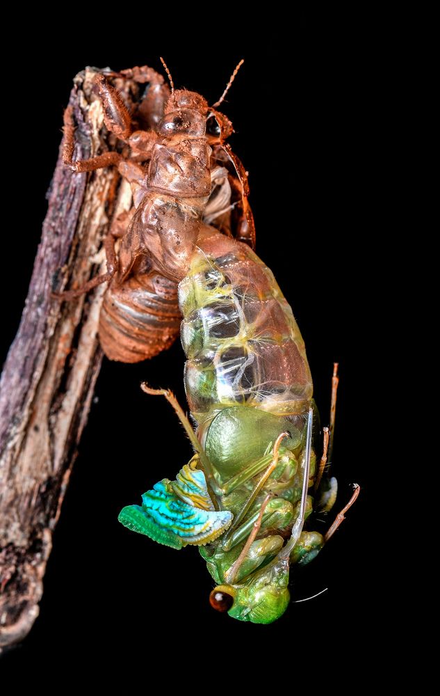 Photograph by Anish jayan