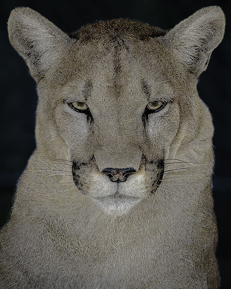 Фотография автора Raymond Asiala