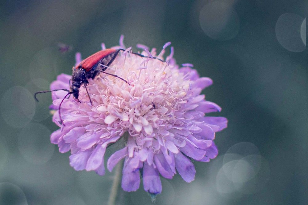 Photograph by Светлана Кочнева