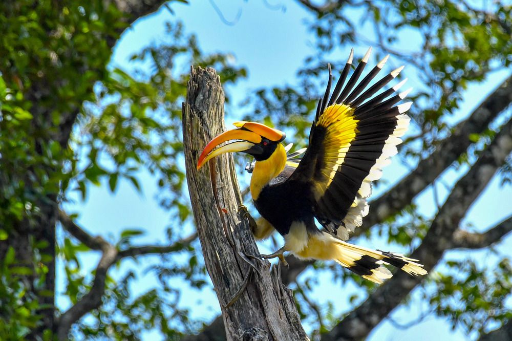 Photograph by Anish jayan