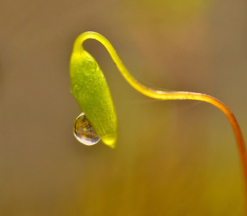 Photograph by Константин Мишнаевский